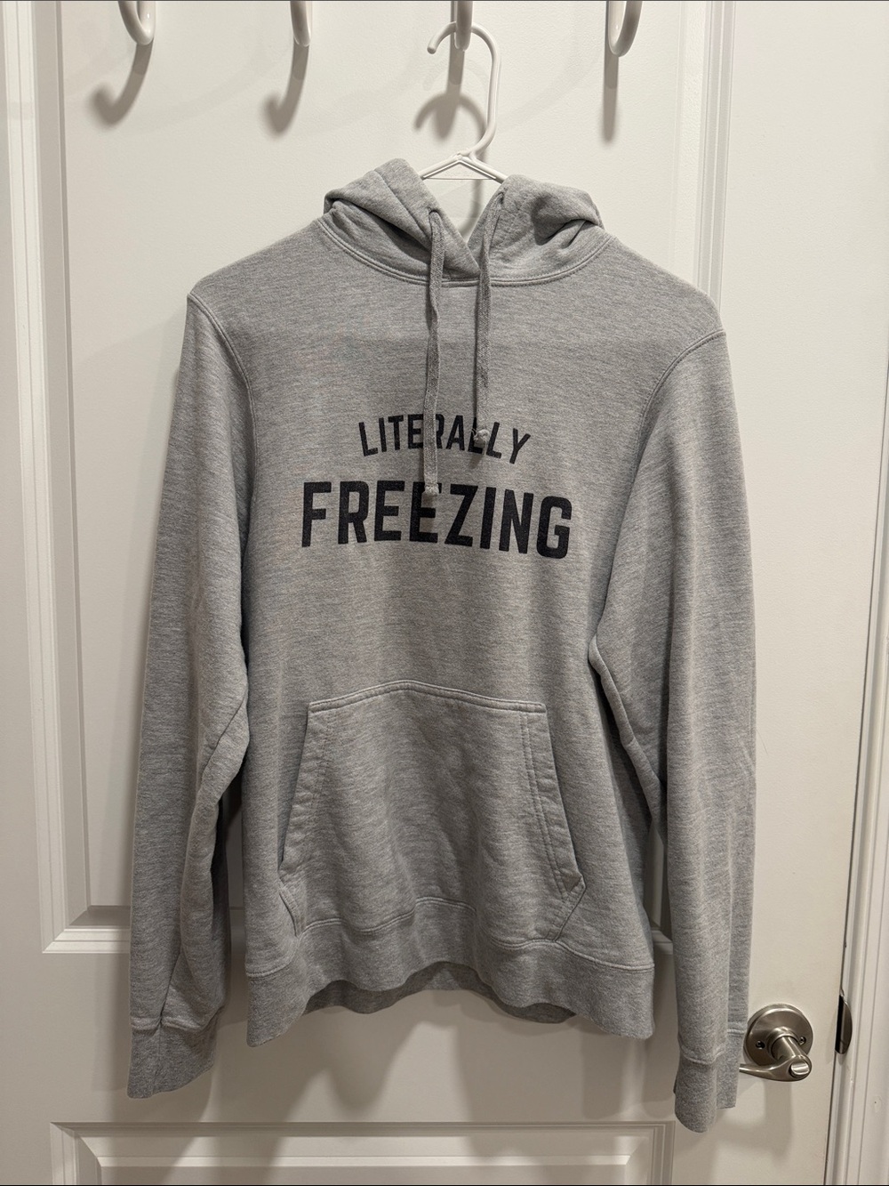 Literally Freezing Gray Hoodie Sweatshirt